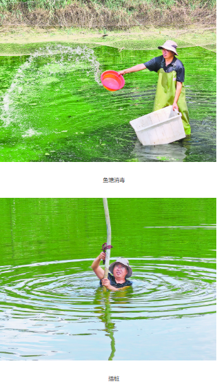 image.png image.png